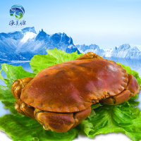海鲜 野生熟冻面包蟹 新鲜黄金蟹750g左右/只 进口螃蟹两只包邮_250x250.jpg