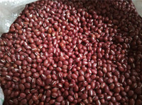 沂蒙山区农家自产 红小豆 纯天然无公害红小豆非赤红小豆_250x250.jpg