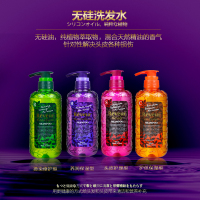 日本reveur无硅洗发水护发素养发护发防脱去屑洗发水500ml_250x250.jpg