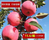 正宗静宁红富士苹果新鲜水果2人份一箱包邮批 发吃的_250x250.jpg