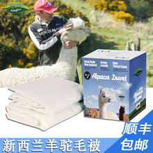 Napattiga新西兰羊驼毛被 全棉加厚保暖秋季冬季被子澳洲羊毛被子