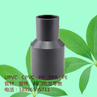 250*200 160 140 UPVC变径大小头直接 PVC-U给水变径直通 变通_250x250.jpg