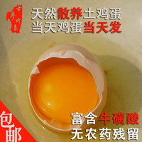 土鸡蛋农家散养30枚新鲜包邮 固始草鸡蛋笨鸡蛋正宗土特产月子蛋_250x250.jpg