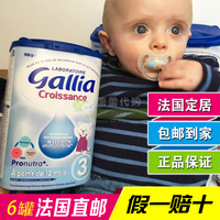 法国进口包邮Gallia达能佳丽雅宝宝婴儿奶粉3段三段直邮1到3岁_250x250.jpg