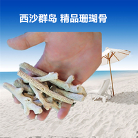 西沙群岛 精品树枝状珊瑚骨纯手工精选微孔培菌珊瑚骨 珊瑚沙_250x250.jpg