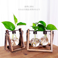 创意个性家居绿萝植物水培容器花瓶玻璃透明小清新桌面装饰品摆件_250x250.jpg