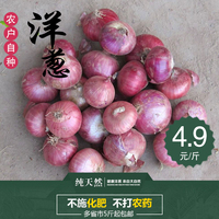 苏北农家自种新鲜蔬菜紫皮洋葱洋葱头时令应季新绿色蔬菜农产品_250x250.jpg
