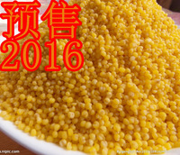 食用2016小米好吃的新小米内蒙农家宁城县孕妇月子米非转米500g_250x250.jpg