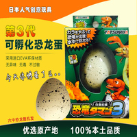 日本原装创意玩具孵化恐龙小鸡蛋神奇水孵膨胀惊喜礼物安全无毒_250x250.jpg