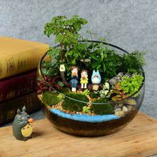 苔藓微景观生态瓶桌面创意绿植diy小盆景生日节日礼物