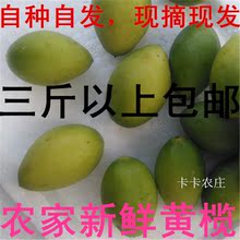 茂名特产特价新鲜黄榄黄榄糠500g青橄榄/青果/孕妇3斤以上包邮