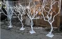 包邮干树枝 干枝 树干树枝装饰枯枝白树枝树杆仿真树枝假树枝树枝_250x250.jpg