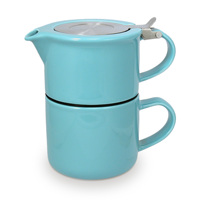 美国FORLIFE茶具无铅陶瓷泡茶壶茶杯子2件套装不锈钢过滤器包邮_250x250.jpg