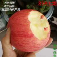 天桥果业 陕西特产红富士 有机苹果 新鲜水果 6斤12枚85 特价包邮_250x250.jpg