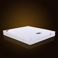 杰特森天然椰棕床垫一面弹簧一面椰棕二用床垫1.5米1.8米_250x250.jpg