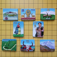 中国西藏旅游风景纪念艺术收藏冰箱贴立体浮雕创意手工树脂冰箱贴_250x250.jpg