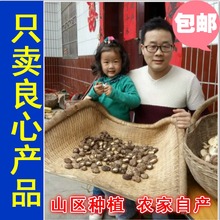 西峡小香菇精选干货农家特级冬菇2016自产家用金钱菇花姑500g披发