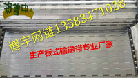 人气热卖304金属网带 不锈钢输送 传动   链板设备 马蹄链 热销中_250x250.jpg