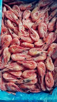 俄罗斯进口马加丹虾北极甜虾5KG净重 70-90头籽海鲜礼盒野生虾