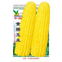 中裕黄糯玉米种子 四季玉米种子 超甜玉米种高产满15元包邮_250x250.jpg