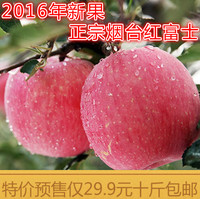 预售山东烟台红富士栖霞苹果水果新鲜苹果10斤特产现摘特价包邮_250x250.jpg