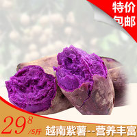 越南珍珠紫薯5斤_250x250.jpg
